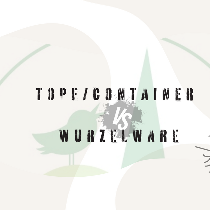 Topf/Containerpflanzen vs. Wurzelware