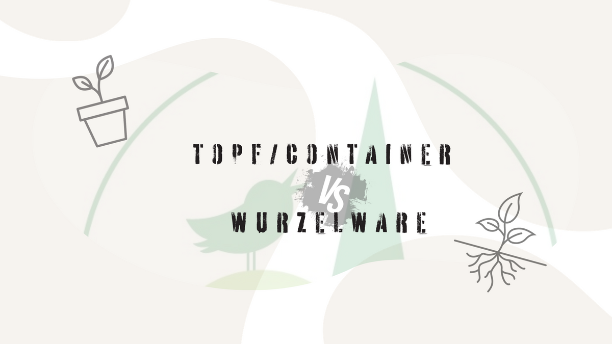 Vergleich von Topf-/Containerpflanze und Wurzelware