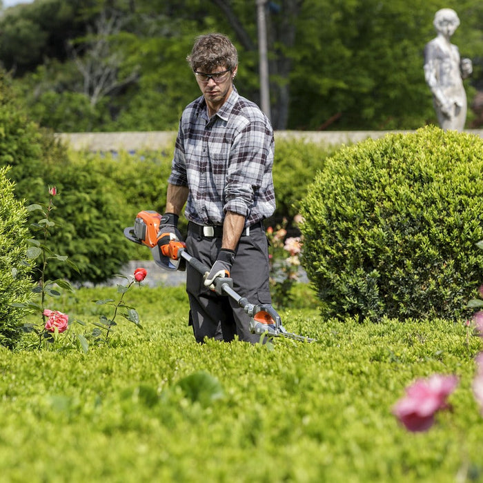 Hecke wird mit der Heckenschere geschnitten