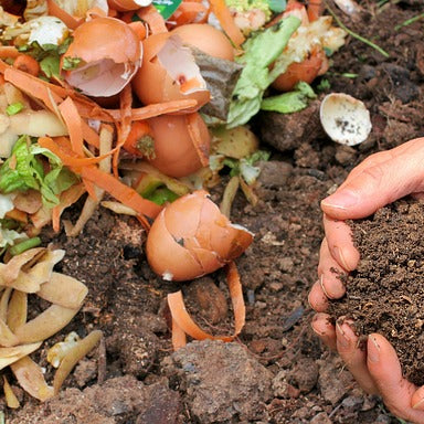 Alles, was du über die wichtigsten Nährstoffe und Dünger im Garten wissen musst