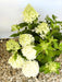 Rispenhortensie Hydrangea Paniculata Skyfall 1 mit großen, cremegelben Blütenrispen und grünen Blättern auf Holzhackschnitzelboden.