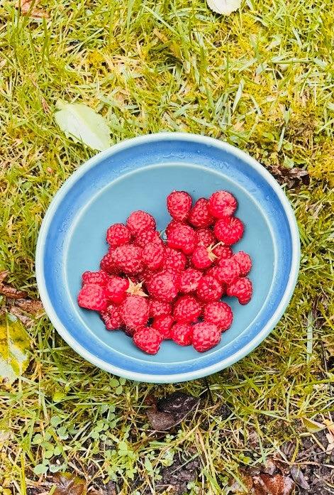 Himbeeren in Obstschale