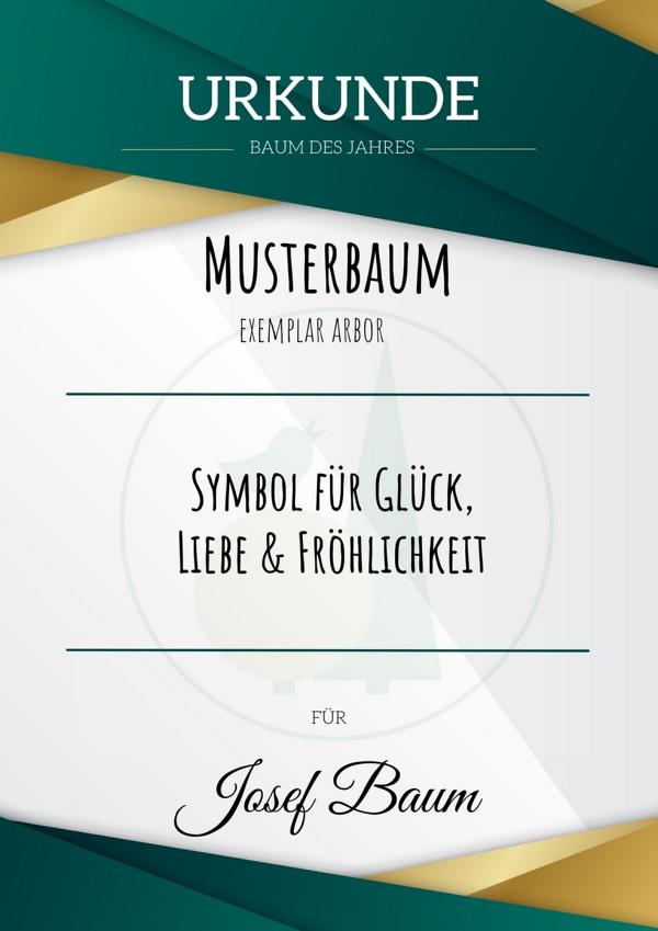 Urkunde über einen Baum des Jahres mit Namen und Symbolbeschreibung
