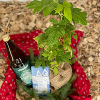 Geschenkbox „Himbeere“